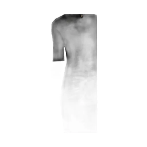 Roberto Cavalli Textured Sheath Dress