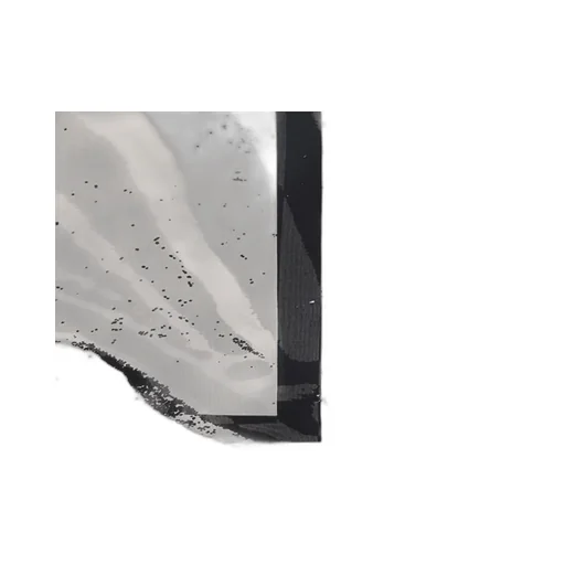 Roberto Cavalli Scarf With Tigress Motif