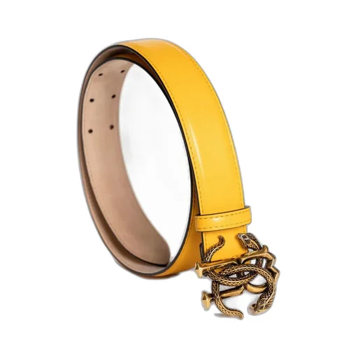 Roberto Cavalli Logo Plaque Buckle Belt