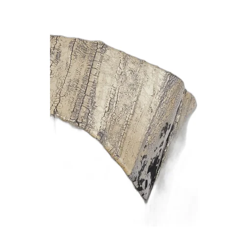 Rick Owens Metallic Distressed Dress