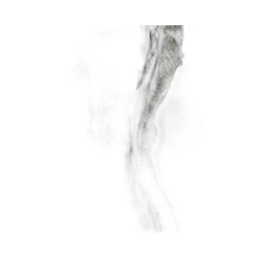 Rick Owens Zipper-Detailed One-Sleeved Top