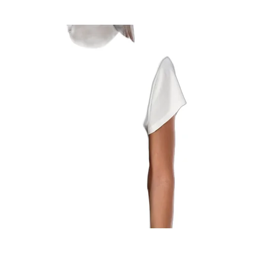 Rick Owens Drkshdw Crewneck Cropped Top
