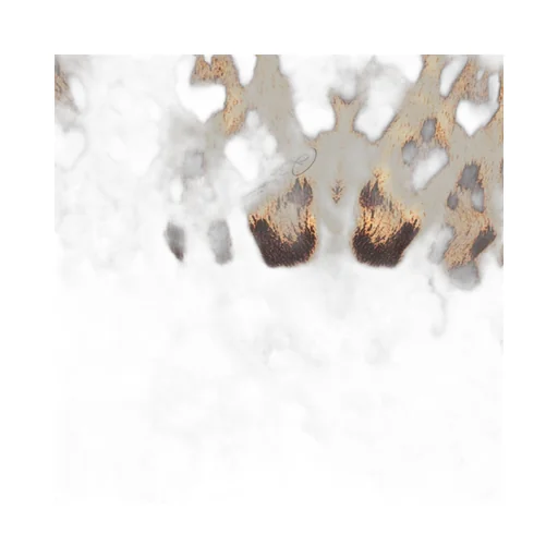 Roberto Cavalli Jaguar Print Pencil Skirt