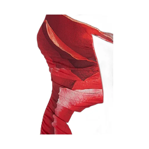 Roberto Cavalli Rose-Print Midi Dress