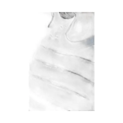 Rag & Bone Striped Printed Crewneck T-Shirt