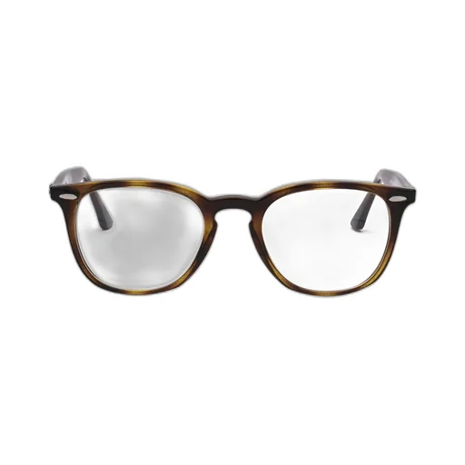 Ray-Ban Square Frame Glasses