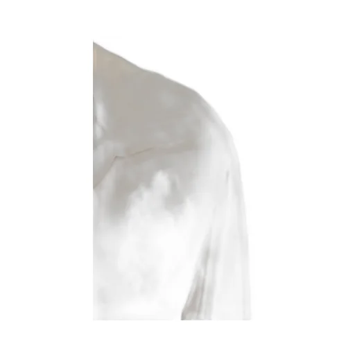 Rame Spread Collar V-Neck Shirt