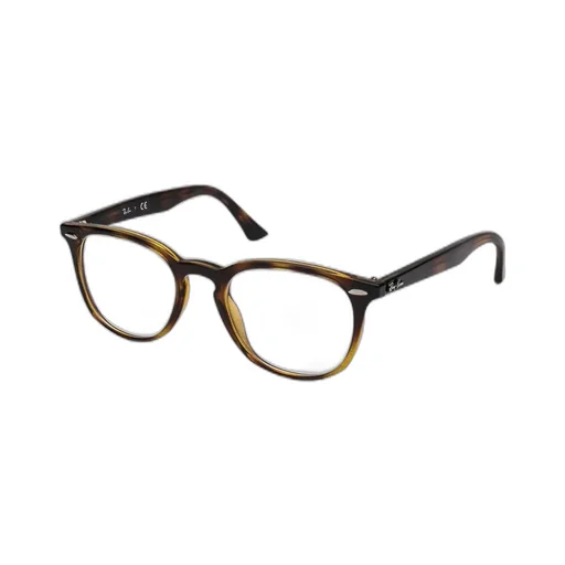 Ray-Ban Square Frame Glasses