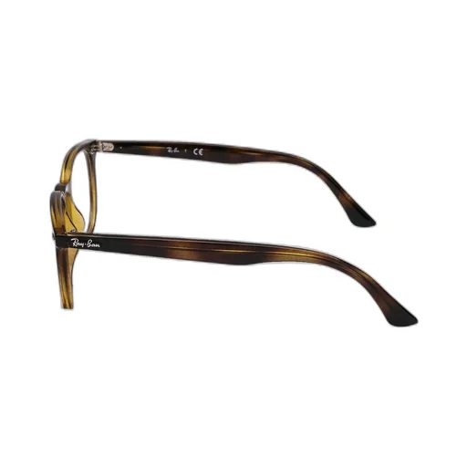 Ray-Ban Square Frame Glasses