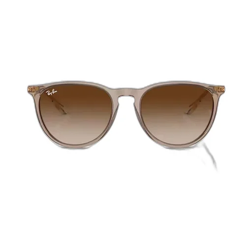 Ray-Ban Erika Round Frame Sunglasses