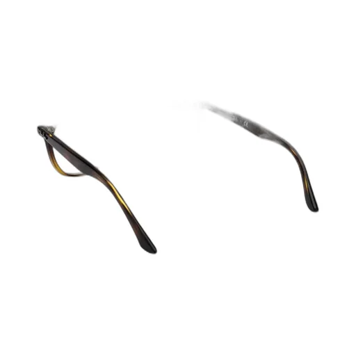 Ray-Ban Square Frame Glasses