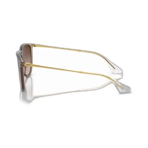 Ray-Ban Erika Round Frame Sunglasses
