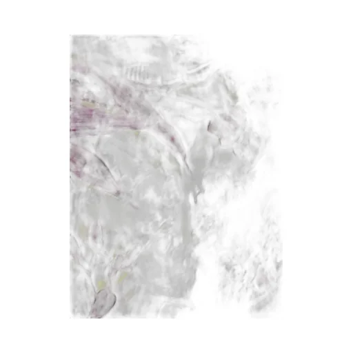 Raquel Diniz Floral Printed Scarf