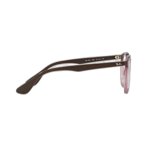 Ray-Ban Erika Round Frame Glasses