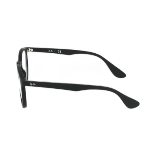 Ray-Ban Erika Round Frame Glasses