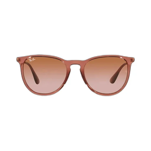 Ray-Ban Erika Classic Phantos Frame Sunglasses