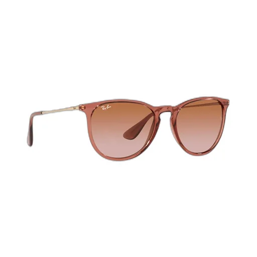 Ray-Ban Erika Classic Phantos Frame Sunglasses