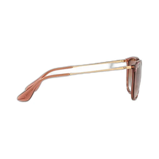 Ray-Ban Erika Classic Phantos Frame Sunglasses