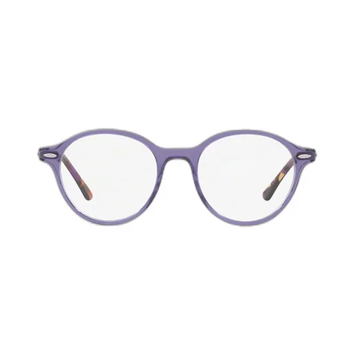Ray-Ban Dean Glasses