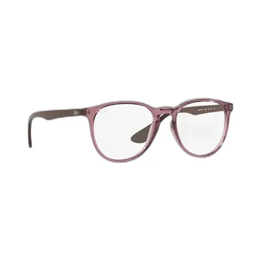 Ray-Ban Erika Round Frame Glasses