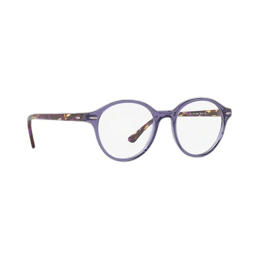 Ray-Ban Dean Glasses