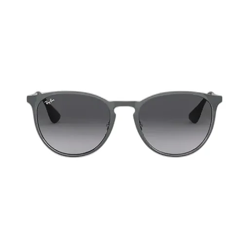 Ray-Ban Erika Pilot Frame Sunglasses