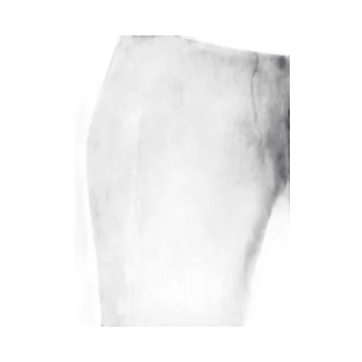 Ql2 Pleated Dress Pants