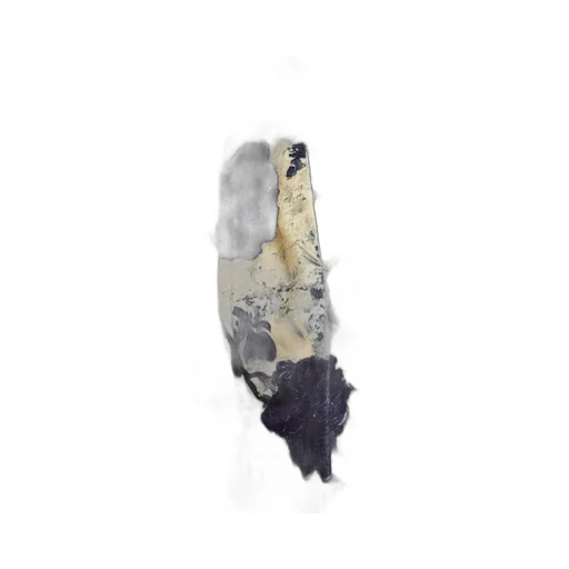 R13 Floral Print Trousers