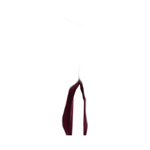 Remain Birger Christensen Split-Cuff Flared Tailored Trousers