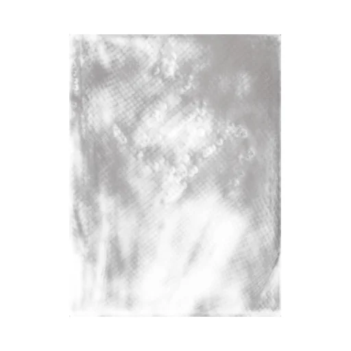 Rev Sequin Sheer Boat Neck Top