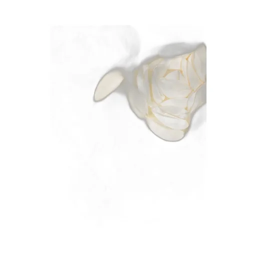 Rotate Embossed Rose Crop Top