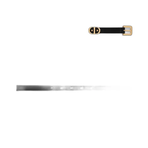 30 Montaigne Loop Belt