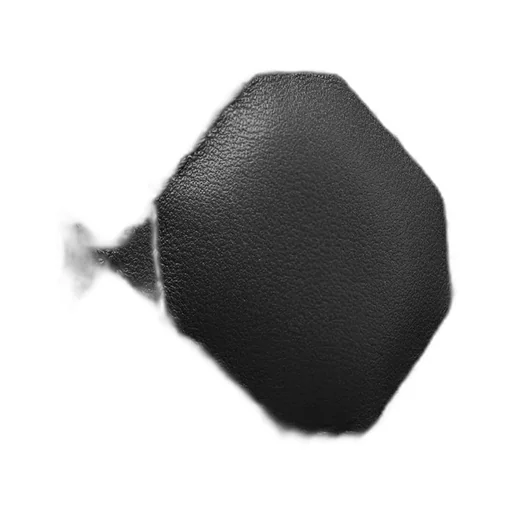 Medium Lady Dior Bag