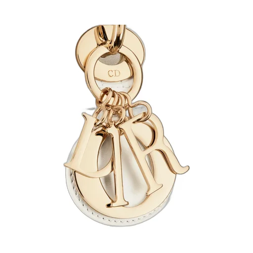Medium Lady Dior Bag