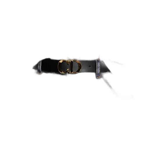 C'est Dior Belt