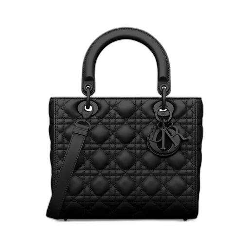 Medium Lady Dior Bag
