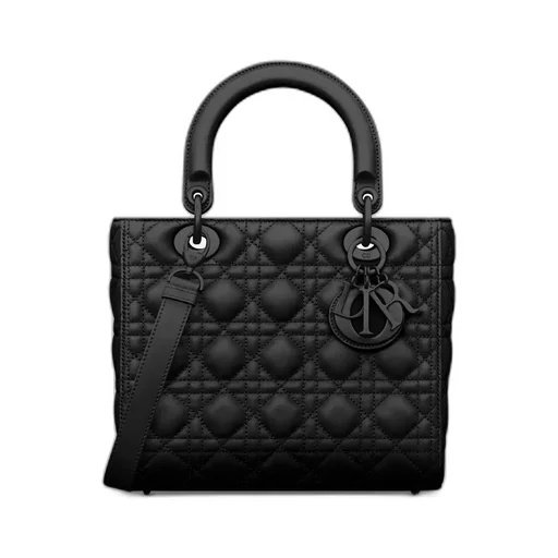 Medium Lady Dior Bag