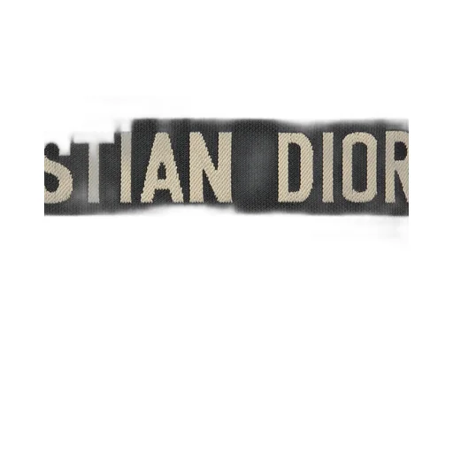 Diortravel Backpack