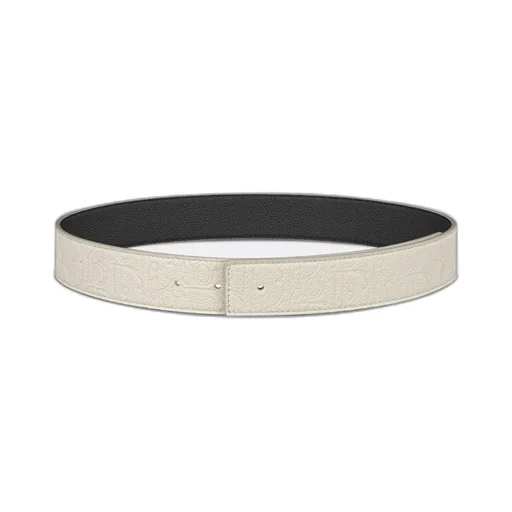 Reversible Belt Strap