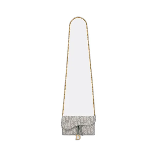Small Saddle Pouch With Chain