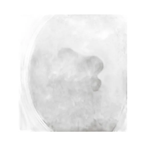 Medallion Chair