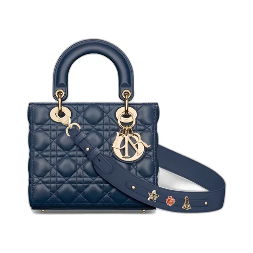 Small Lady Dior My Abcdior Bag