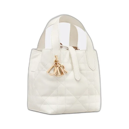 Dior Toujours Vertical Nano Tote Bag