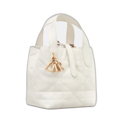 Dior Toujours Vertical Nano Tote Bag