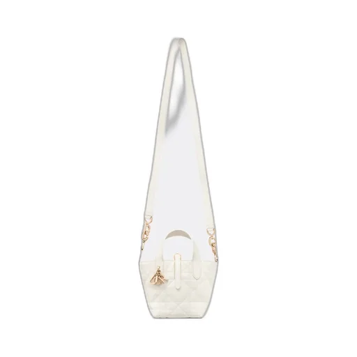 Dior Toujours Vertical Nano Tote Bag