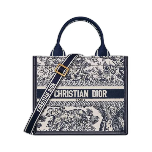 Small Dior Book Tote