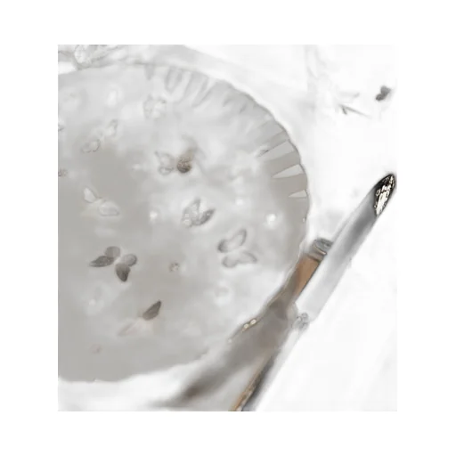 Dinner Plate