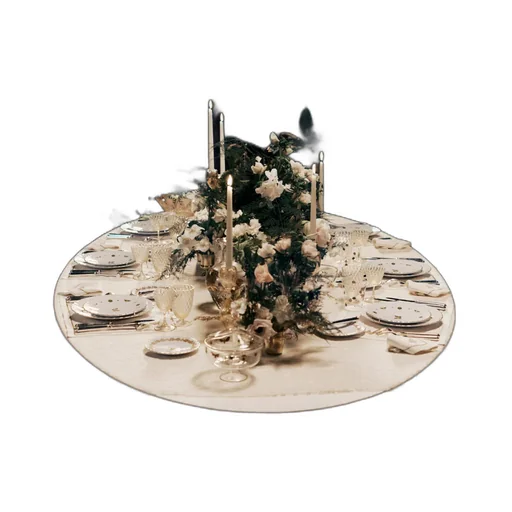 Dinner Plate