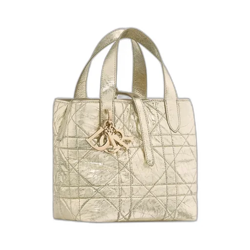 Small Dior Toujours Vertical Tote Bag