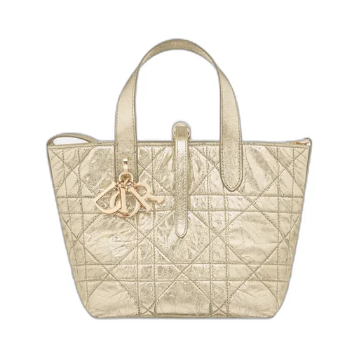 Small Dior Toujours Vertical Tote Bag